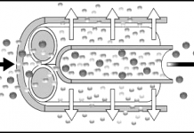 Ultrafiltration en hémodialyse
