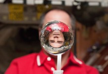 POIDS SEC (dry weight)