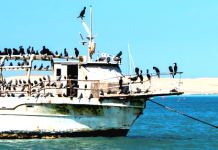 PHOSPHORE: pourquoi le phosphore est toxique ? E338/E339/E340/E450/E452 …