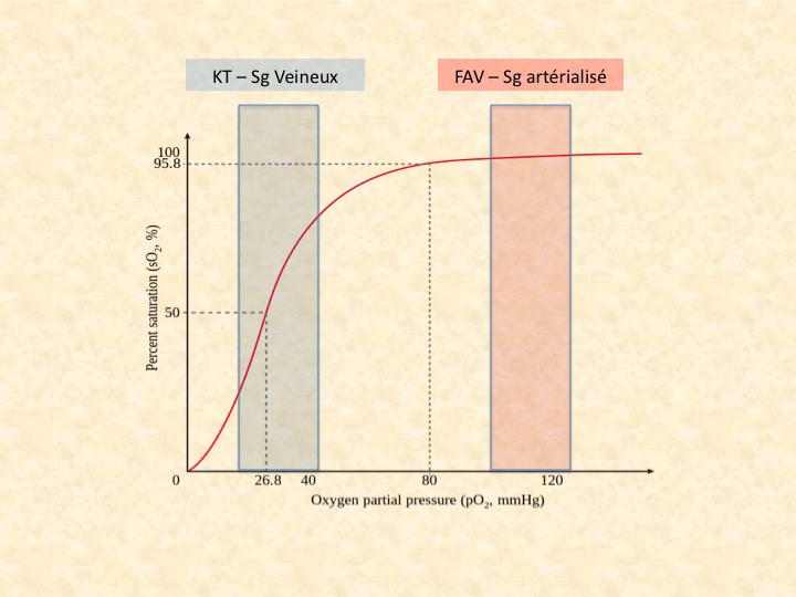 SATURATION et DIALYSE: Intérêt de la saturation en oxygène en ligne lors de  l'épuration rénale extracorporelle sanguine 