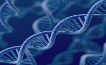 Maladie Génétique Rénale: pourquoi consulter ?