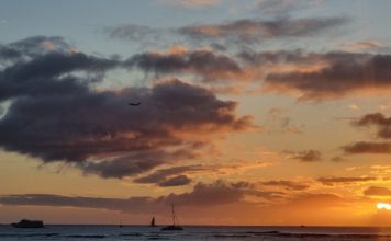 iSGLT2 un nouvel espoir en néphrologie: information patient